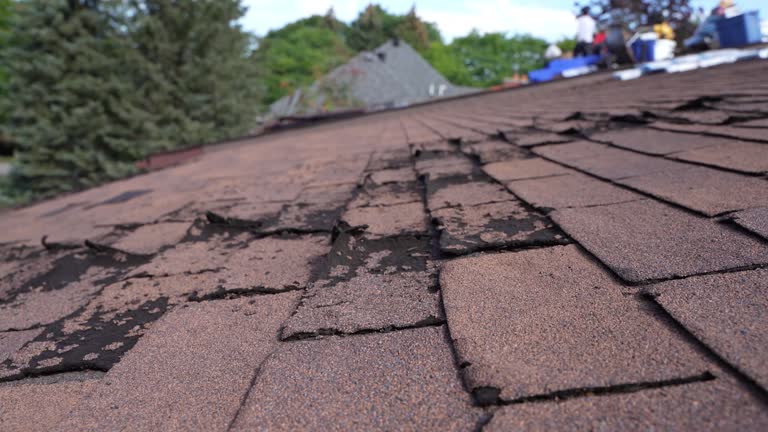 Best 4 Ply Roofing  in Fayette, MO